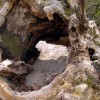 2007.04.01. - Samothraki